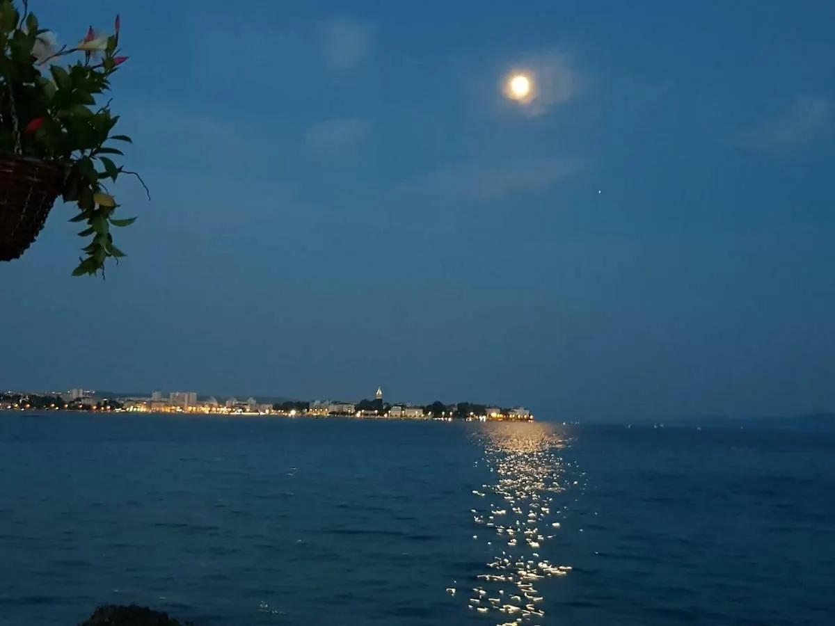 Villa Carlotta Zadar Croatia